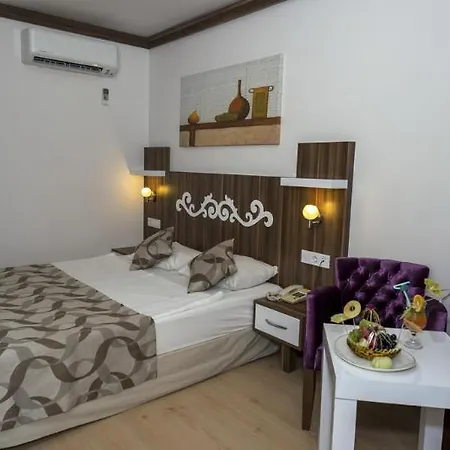 فندق ريسوس 3*
